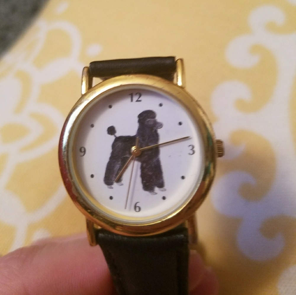 Poodle watch